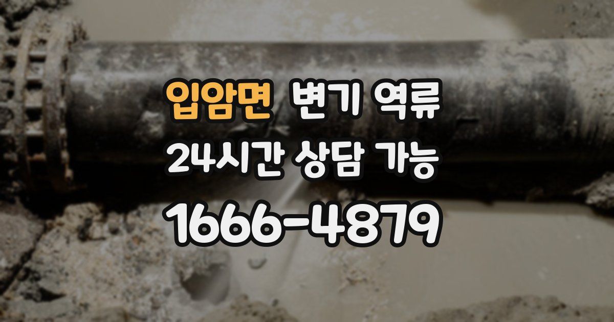 입암면 변기 역류