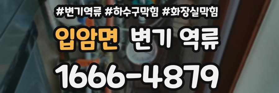 입암면 변기 역류