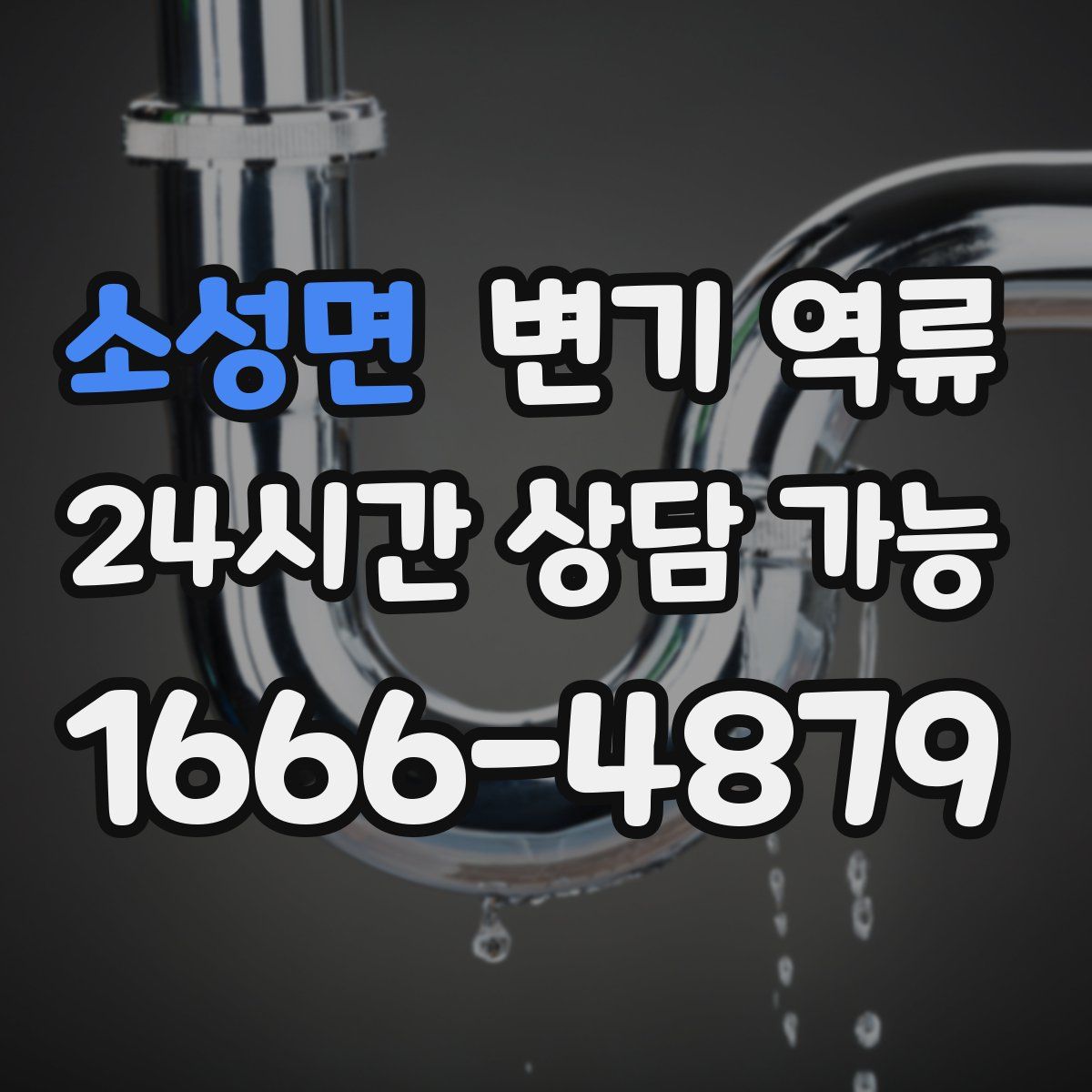 소성면 변기 역류