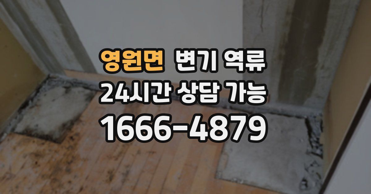 영원면 변기 역류