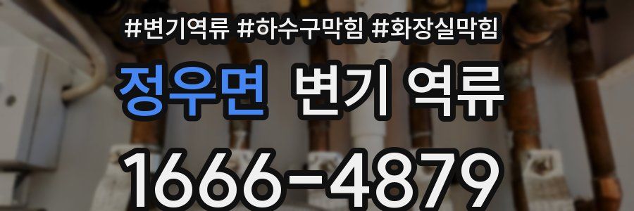 정우면 변기 역류