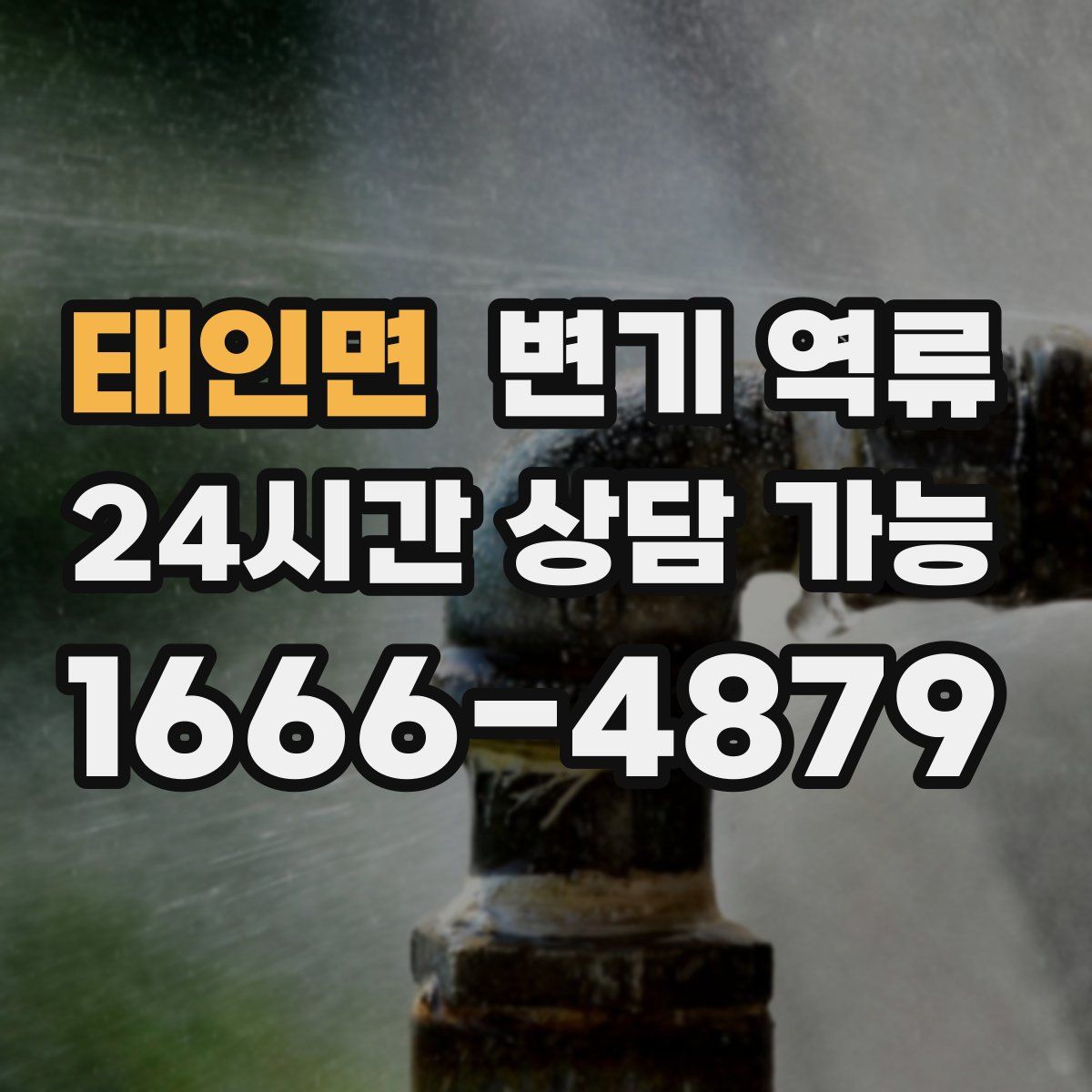 태인면 변기 역류