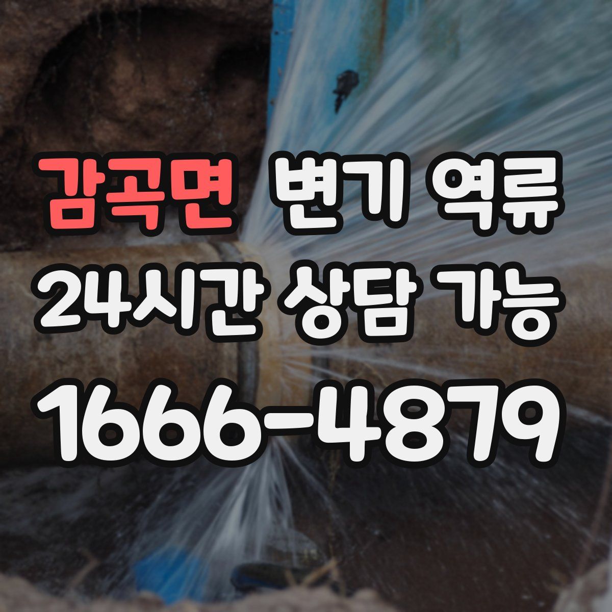감곡면 변기 역류