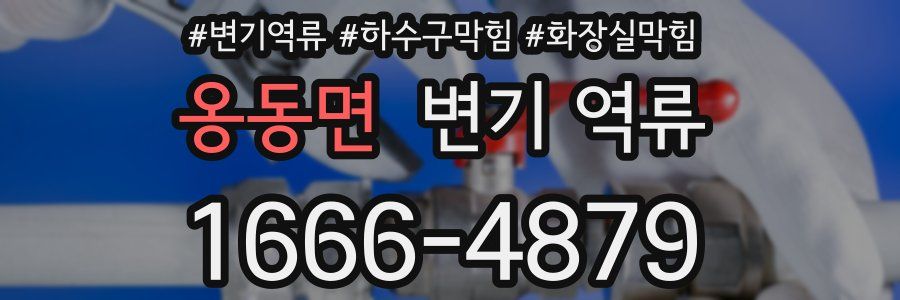 옹동면 변기 역류