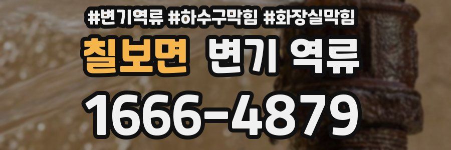 칠보면 변기 역류