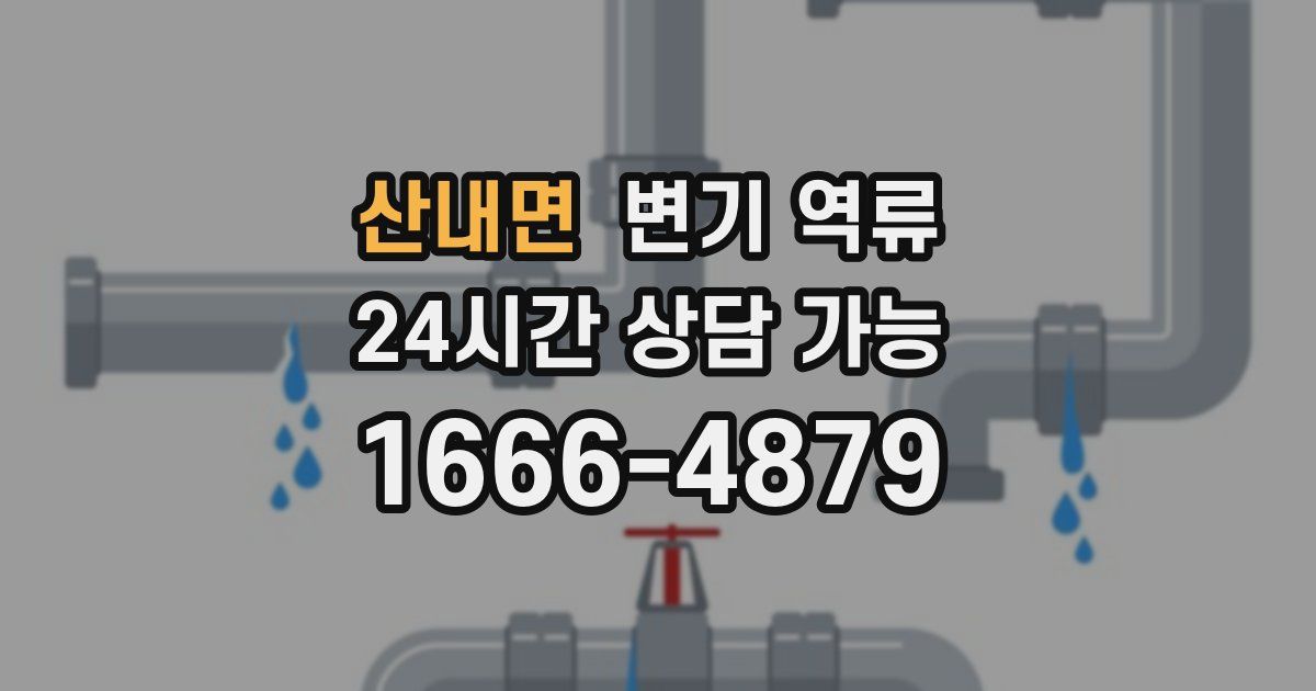 산내면 변기 역류