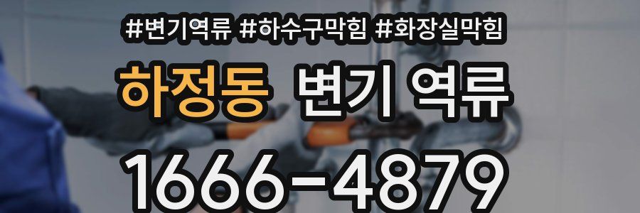 하정동 변기 역류
