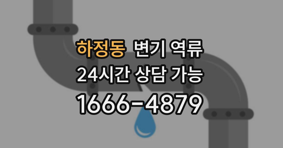 하정동 변기 역류