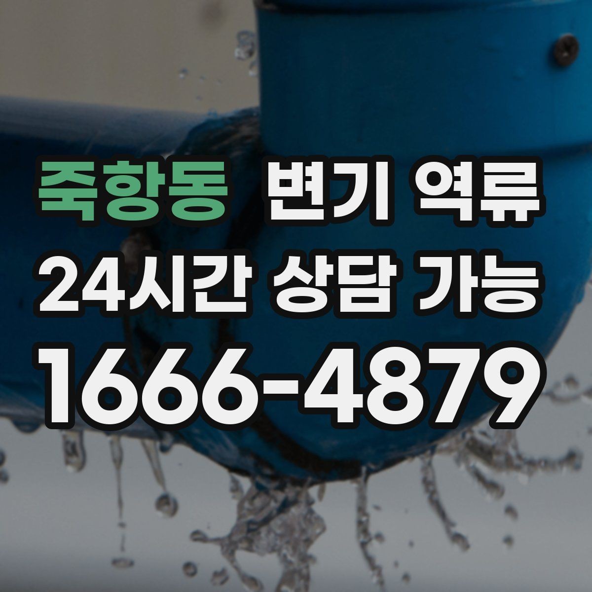 죽항동 변기 역류 바닥 실리콘이 들뜨면 생기는 문제