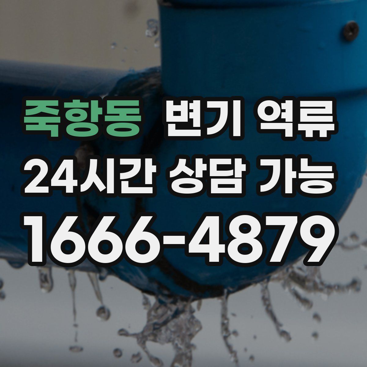 죽항동 변기 역류