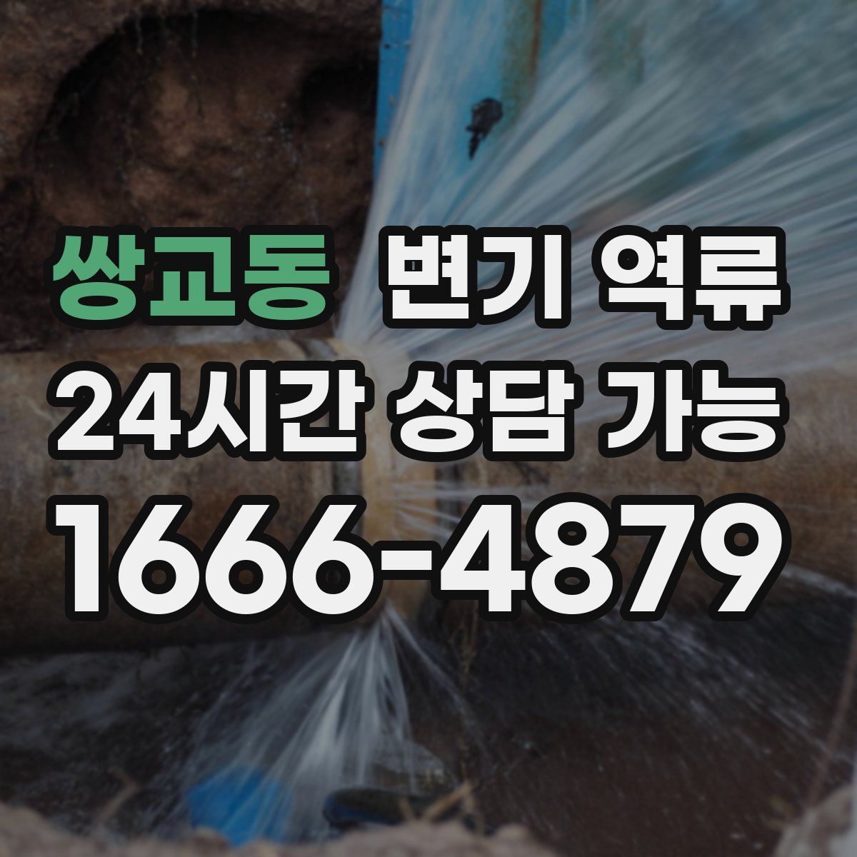 쌍교동 변기 역류