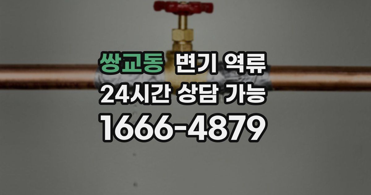 쌍교동 변기 역류