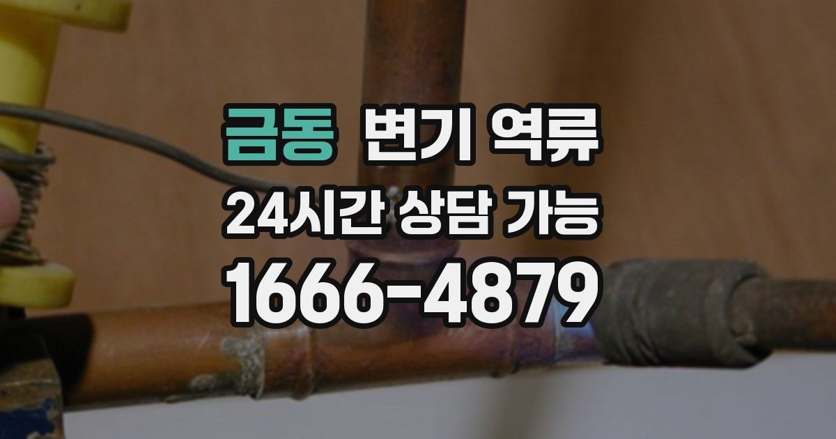 금동 변기 역류