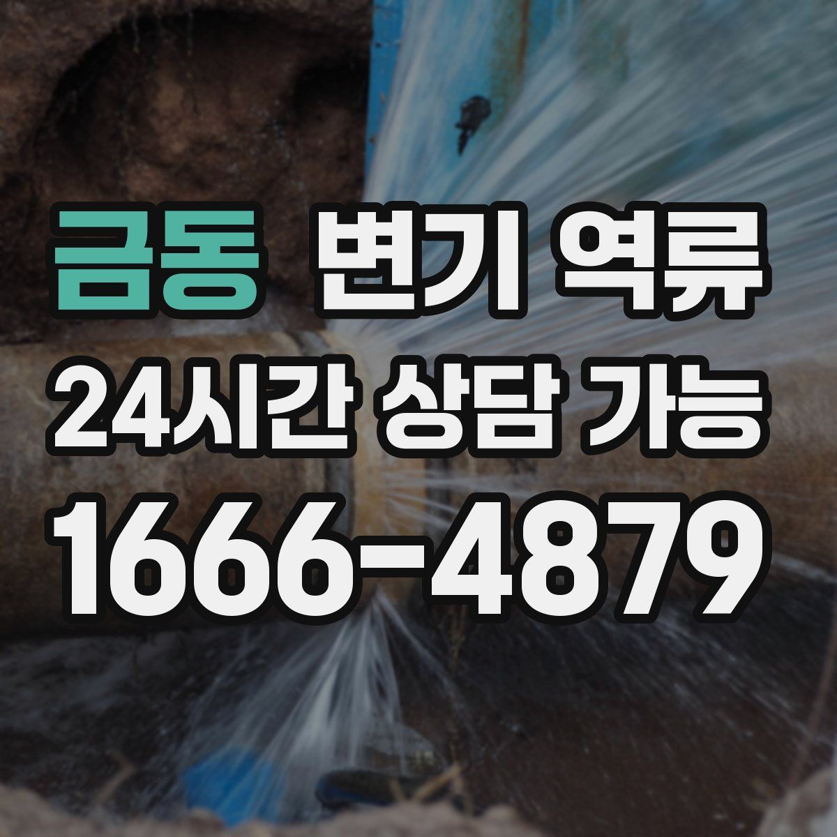 금동 변기 역류