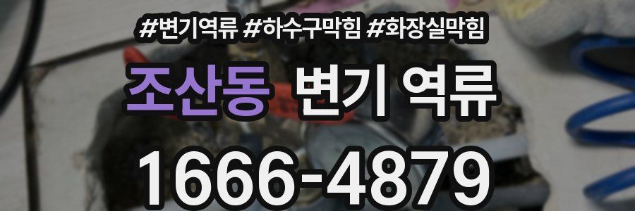 조산동 변기 역류