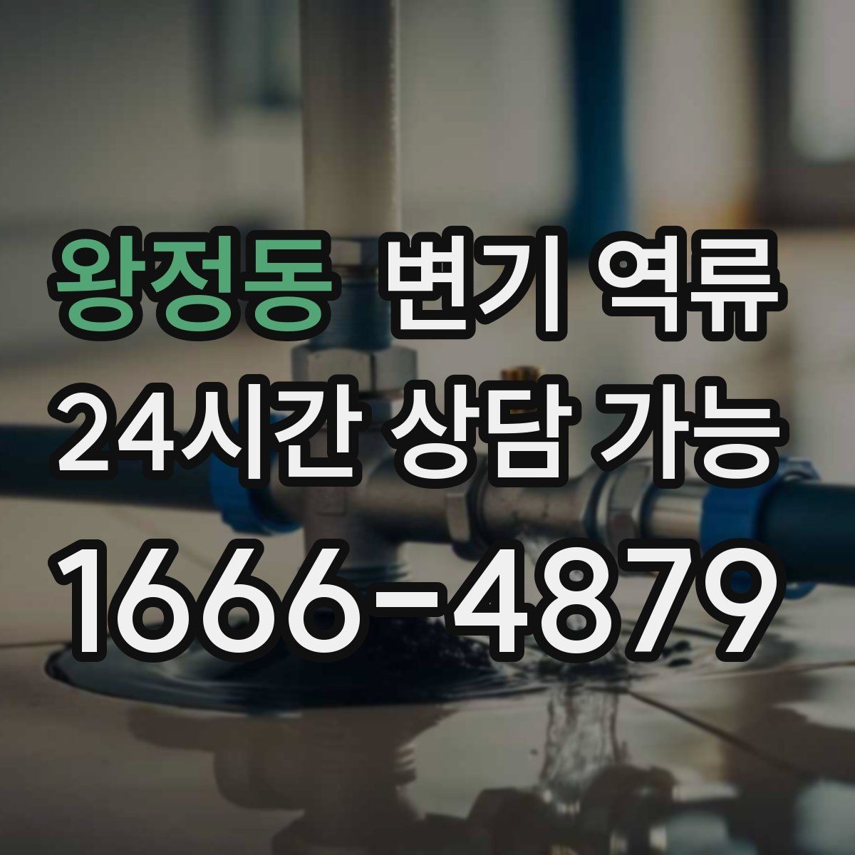 왕정동 변기 역류 비 오는 날만 반복될 때 체크해야 할 것