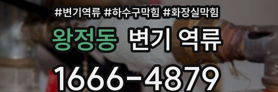 왕정동 변기 역류