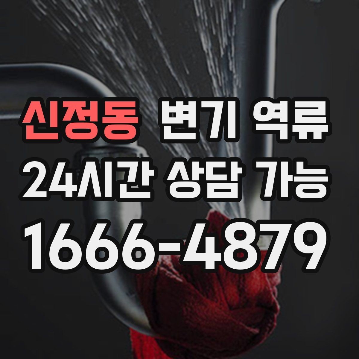 신정동 변기 역류 변기솔·탈취제 캡이 떨어졌을 때 대응