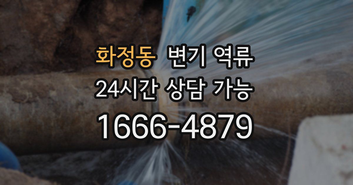 화정동 변기 역류