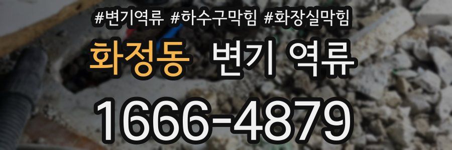 화정동 변기 역류