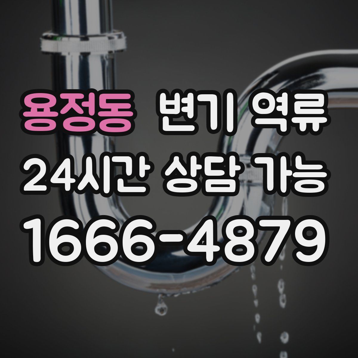 용정동 변기 역류