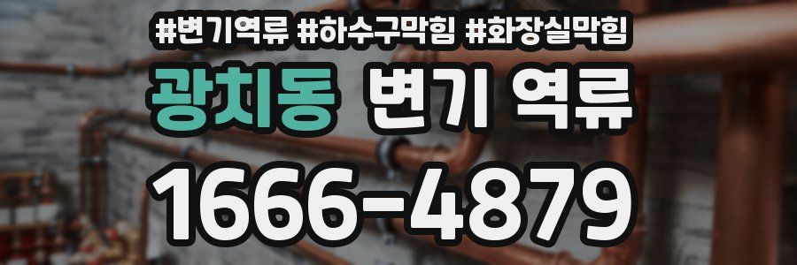 광치동 변기 역류