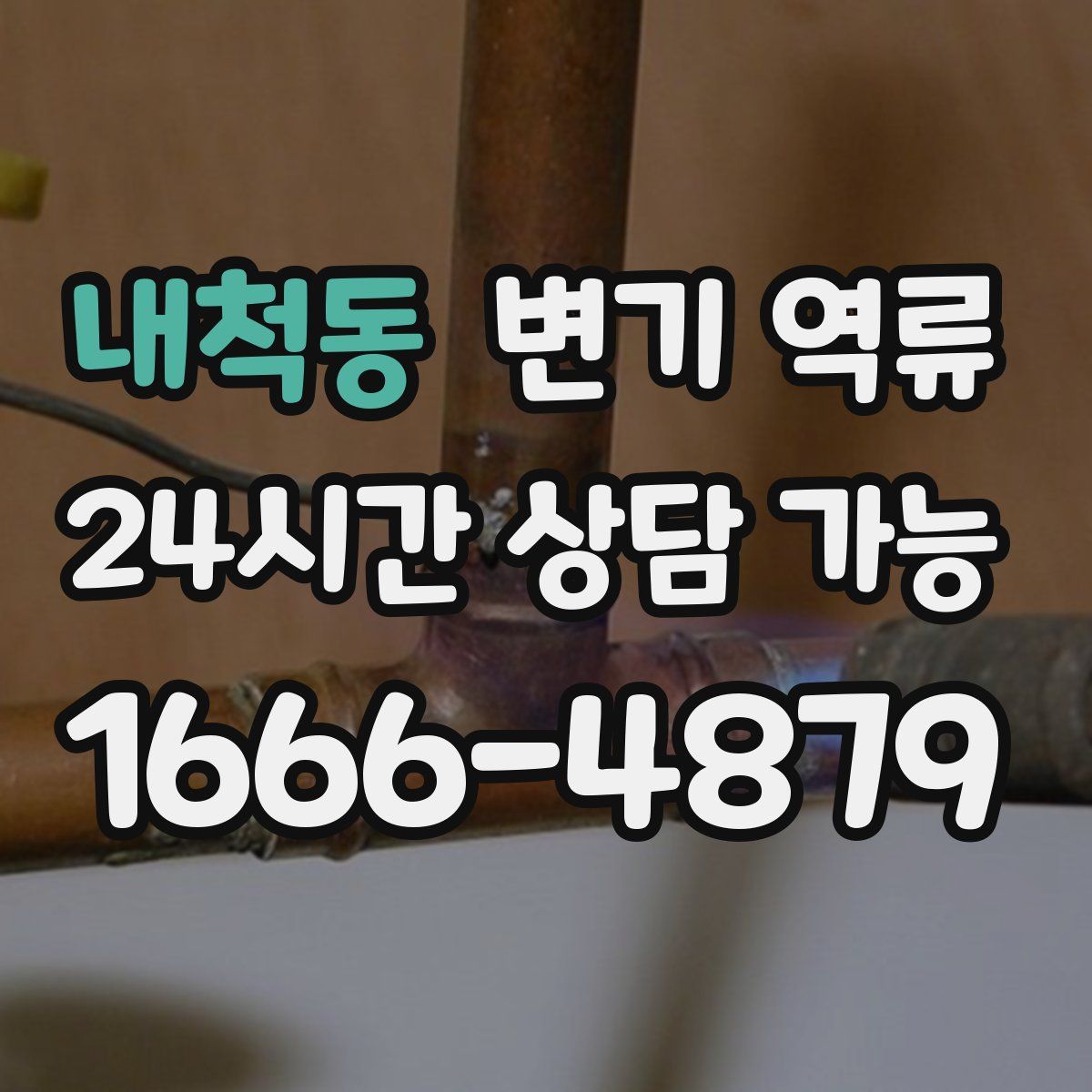 내척동 변기 역류