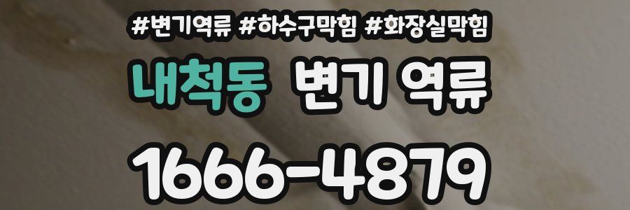 내척동 변기 역류