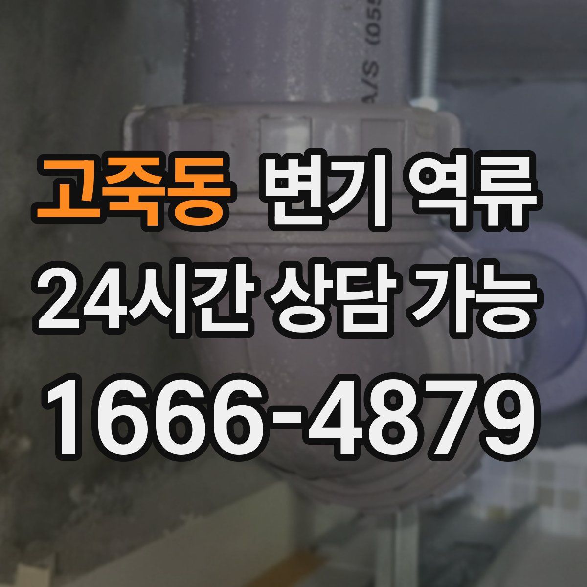 고죽동 변기 역류