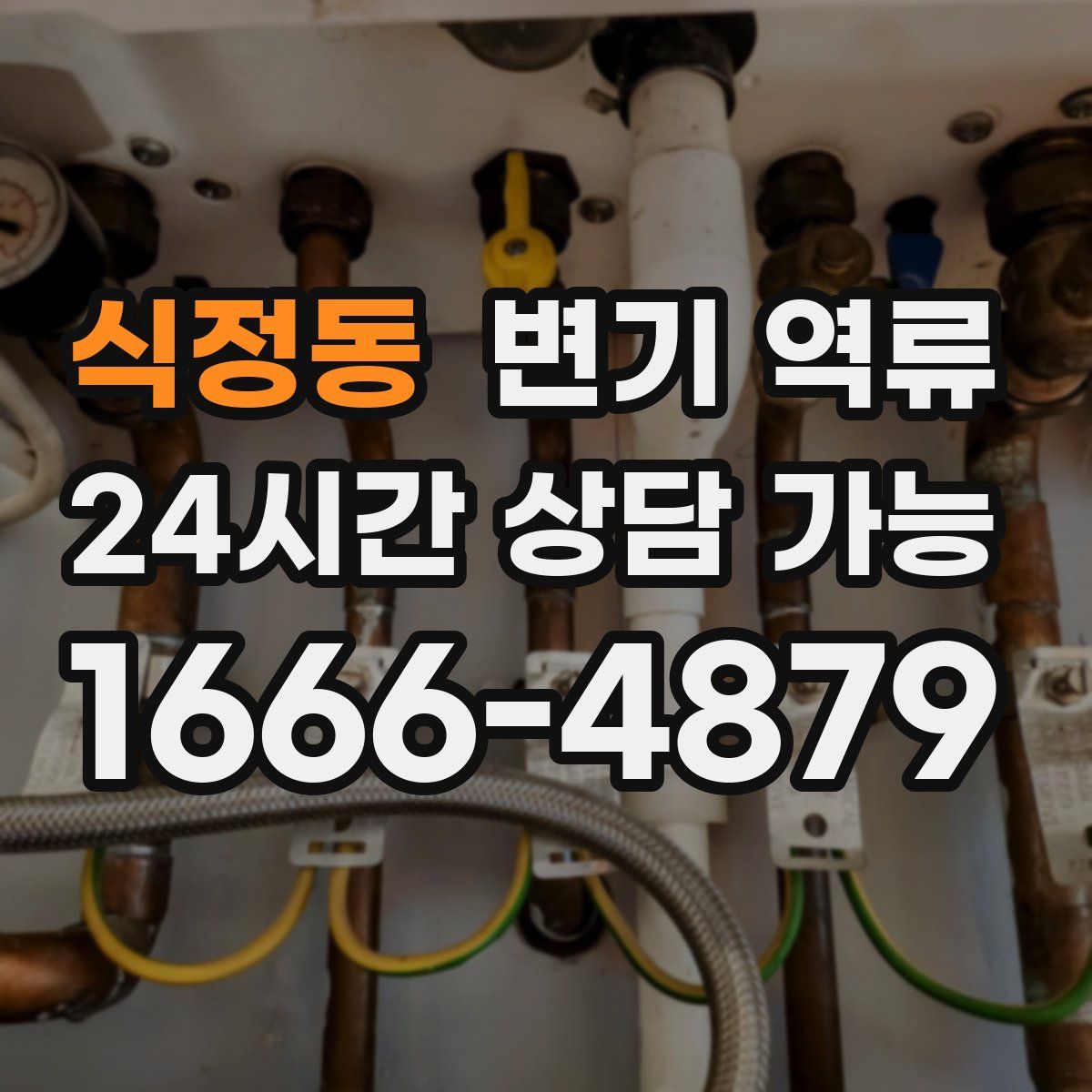 식정동 변기 역류