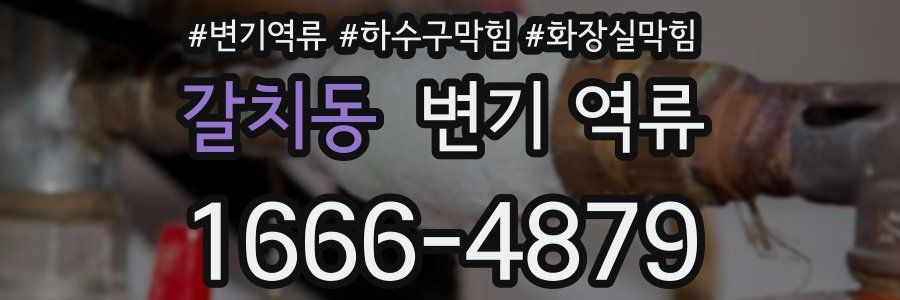 갈치동 변기 역류