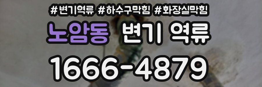 노암동 변기 역류