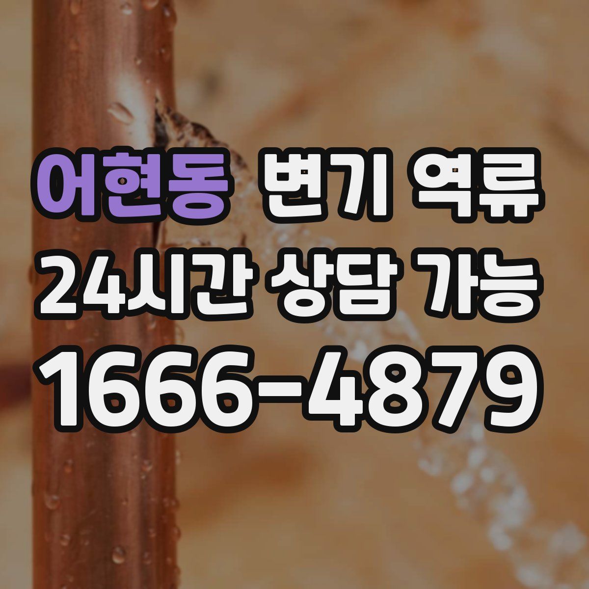 어현동 변기 역류