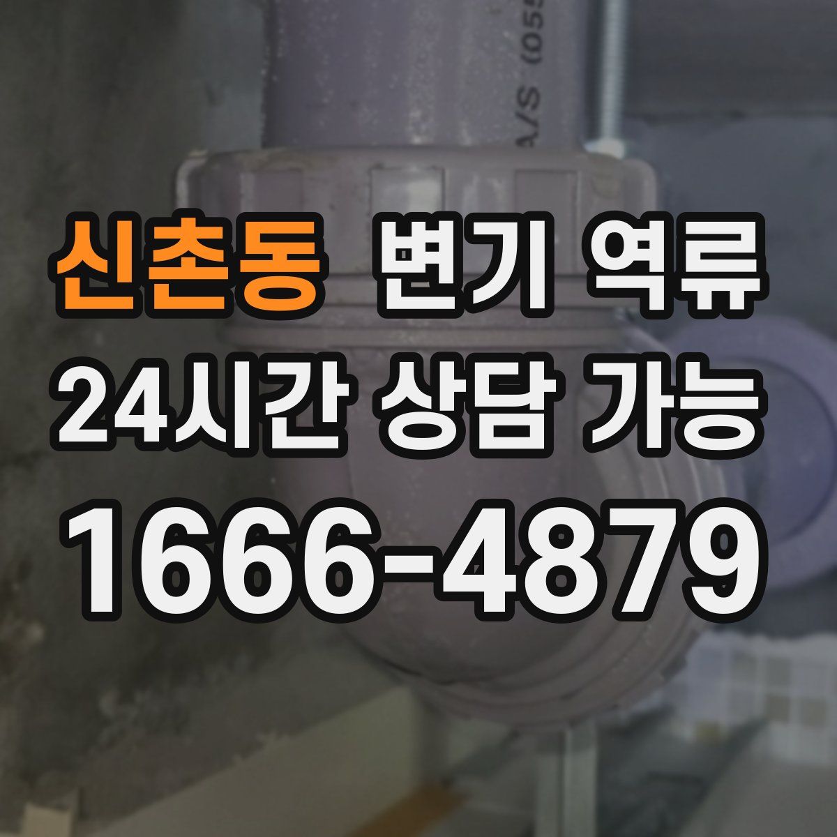 신촌동 변기 역류