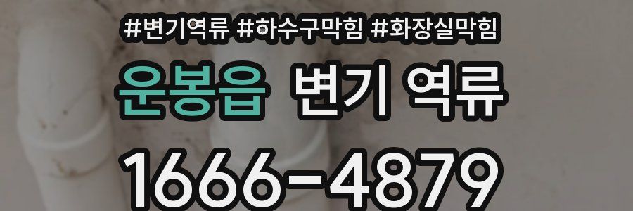 운봉읍 변기 역류