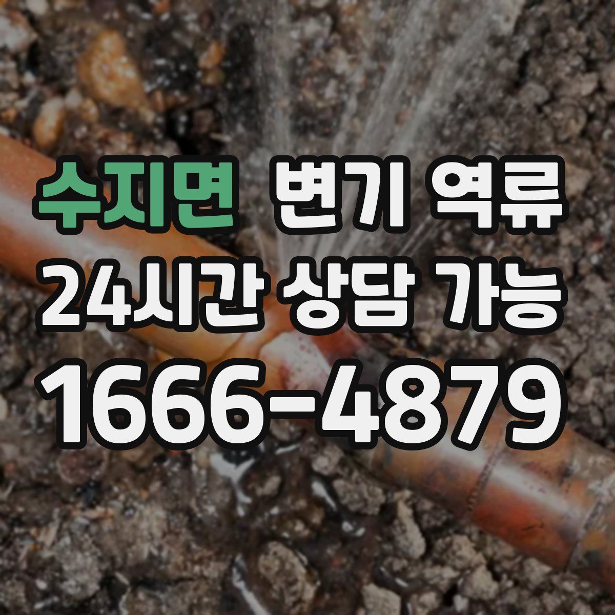 수지면 변기 역류