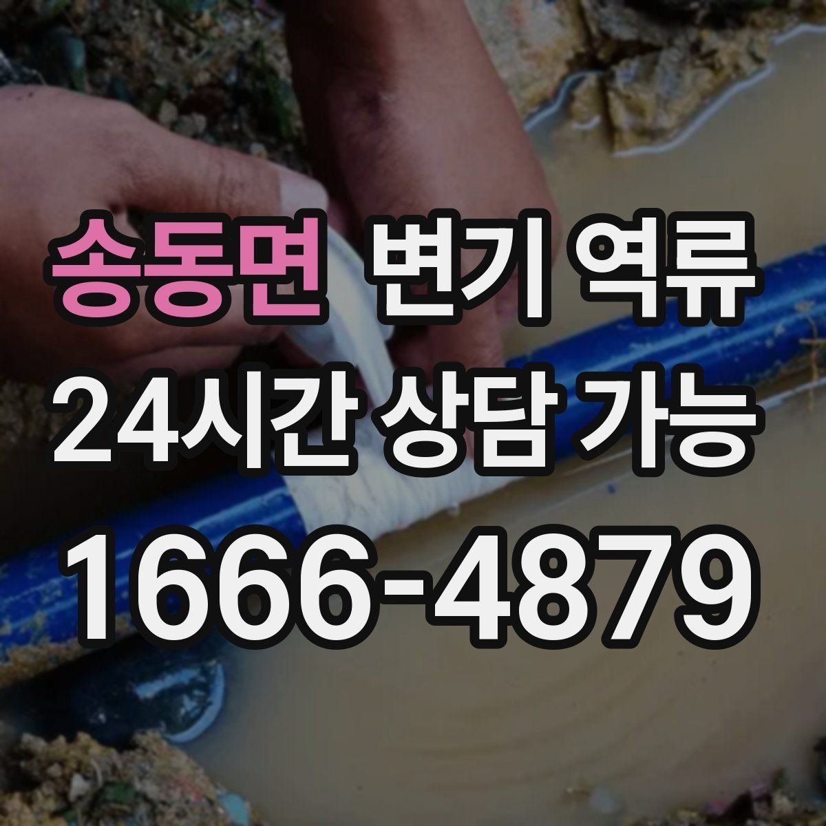 송동면 변기 역류 한 세대만 발생할 때와 여러 세대 발생할 때 차이