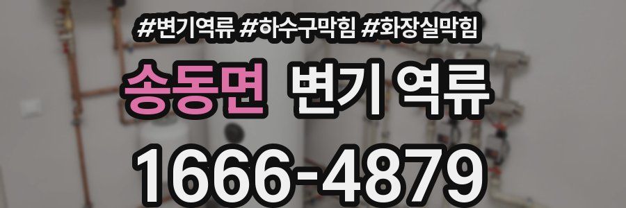 송동면 변기 역류