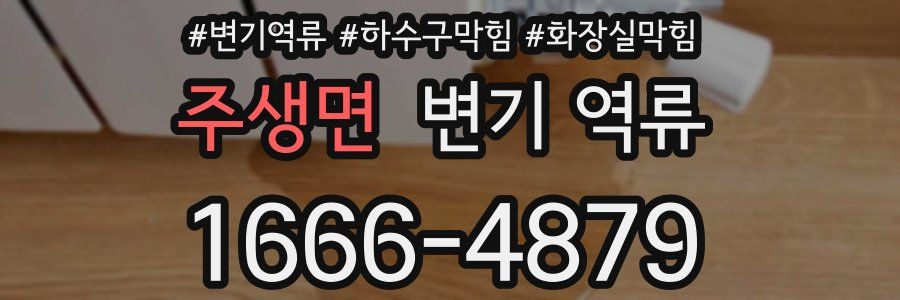 주생면 변기 역류