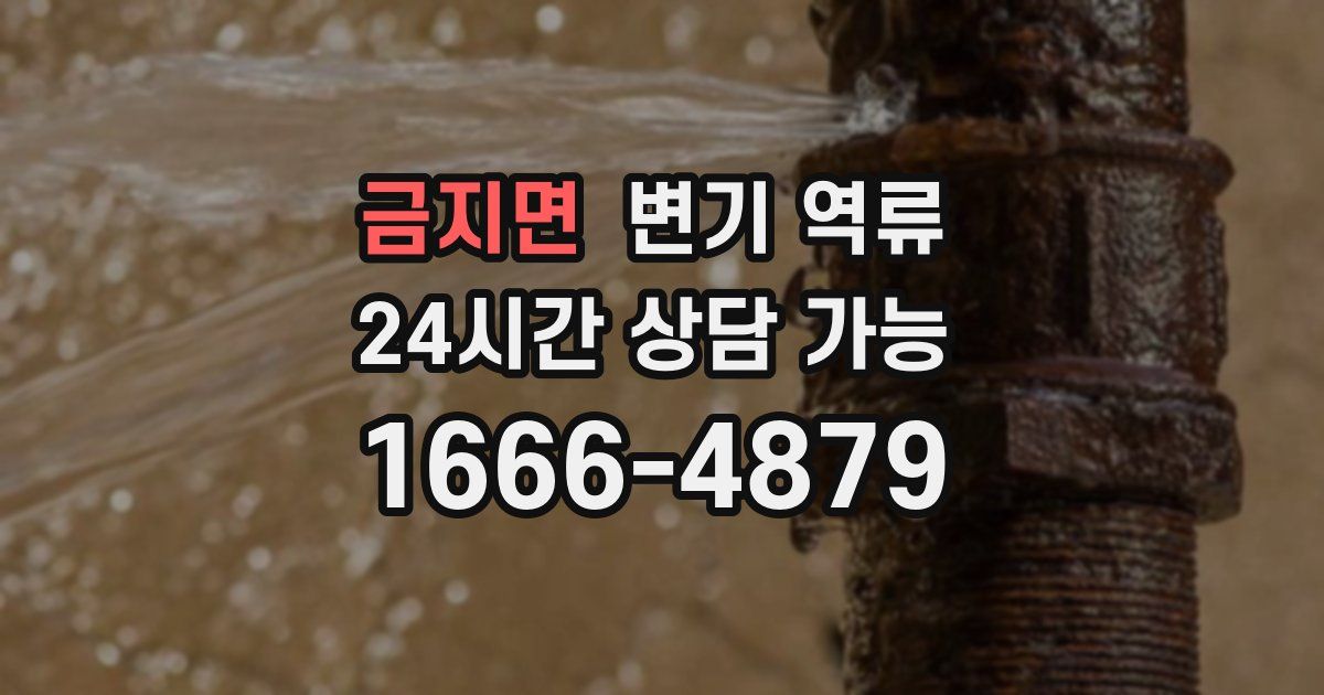 금지면 변기 역류