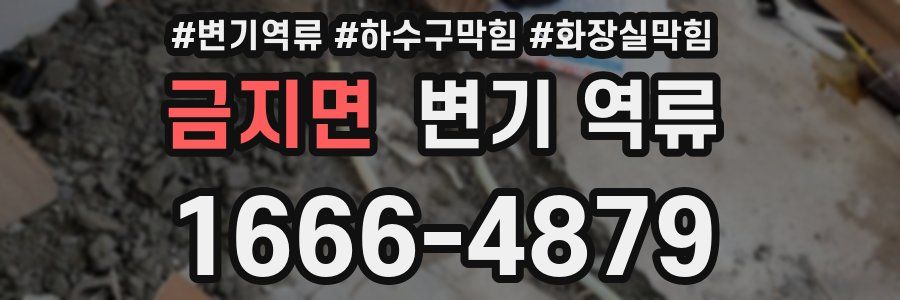 금지면 변기 역류