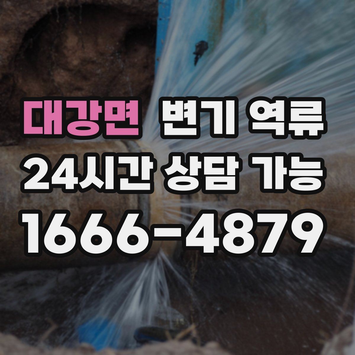 대강면 변기 역류 세대 배관 문제인지 공용 배관 문제인지 구분