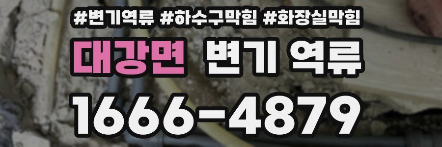 대강면 변기 역류