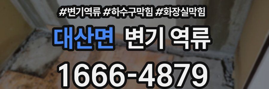 대산면 변기 역류