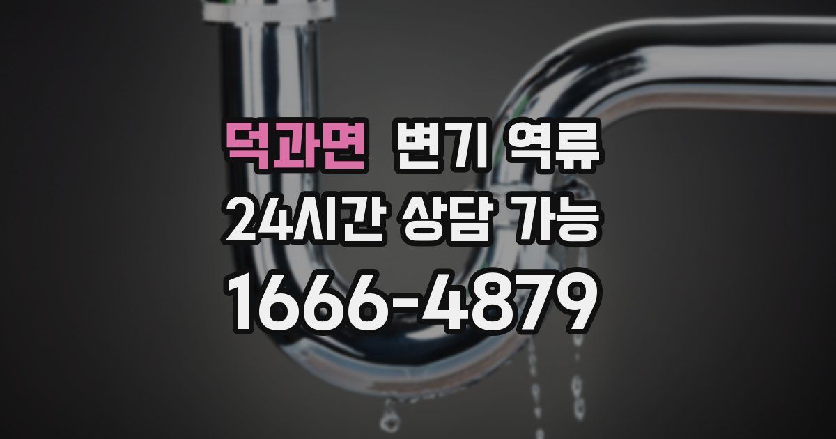 덕과면 변기 역류