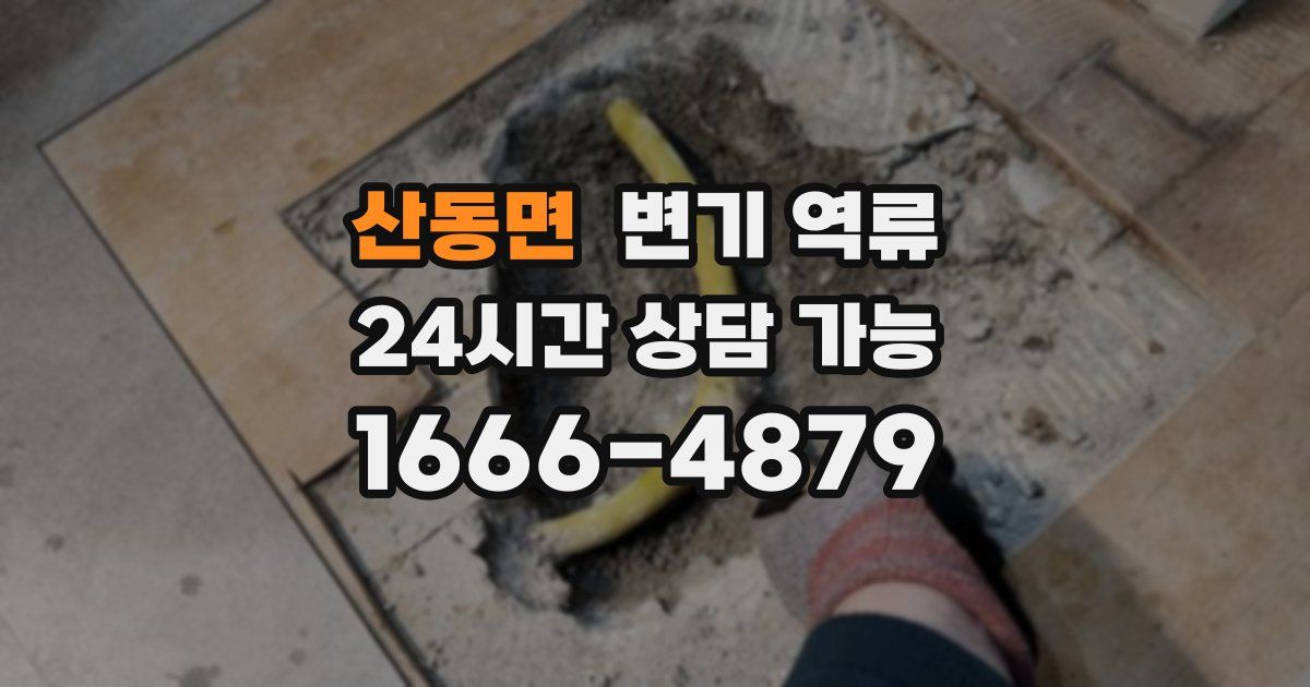 산동면 변기 역류