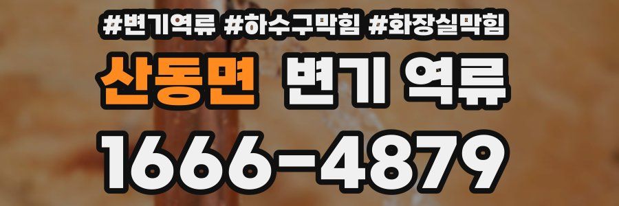 산동면 변기 역류