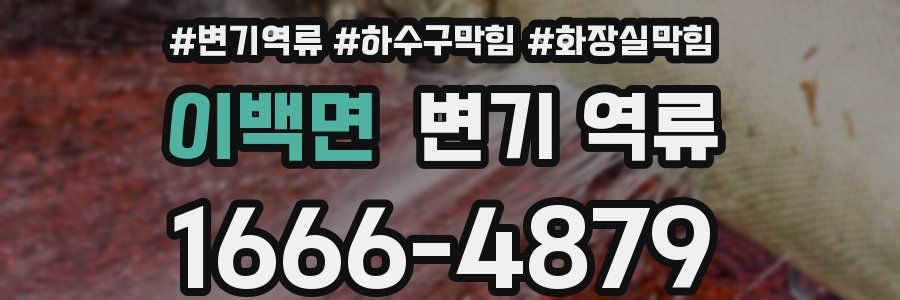 이백면 변기 역류