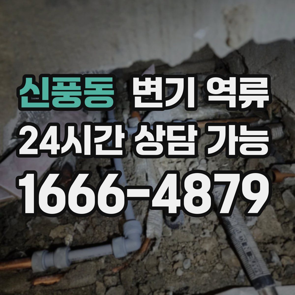 신풍동 변기 역류