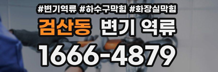 검산동 변기 역류